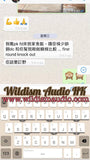 Xsymphony 法國純銀 LITZ 漆包處理 25股 0.12MM 散線